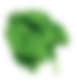 rev_home8_2.png