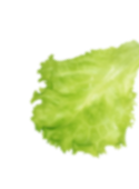 rev_home8_3.png