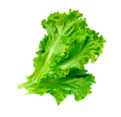 rev_home8_7.png